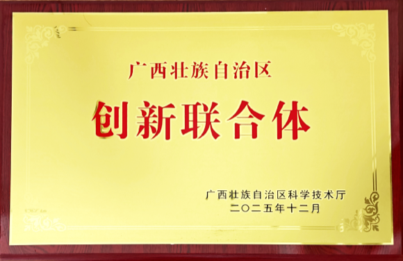廣西壯族自治區創新聯合體